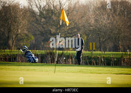 Herbstlichen Sonnenschein Lightfoot Lane Bereich Ingol Village Golf Club Grüns als Golfer ziehen Sie ihren Trolley über die grünen spielen Stockfoto