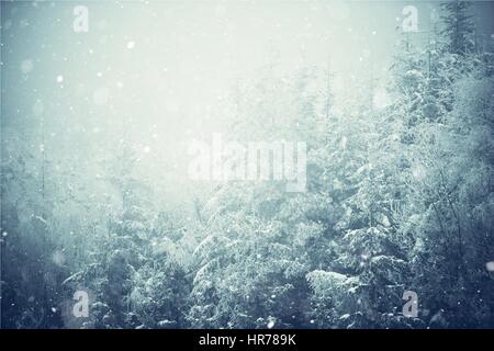 Winterlandschaft Fotohintergrund. Fichten-Wald bedeckt durch Eis und Schnee und den fallenden Schnee Flocken. Stockfoto