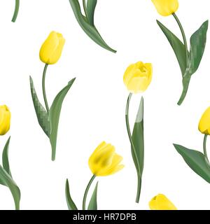 Nahtlos vom Tulpen Stock Vektor