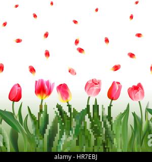 Nahtlose Muster mit realistischen rosa Tulpen Blumen und Blütenblätter. Vektor-Illustration. Ornament für Stoff, Tapete, Postkarten, Karten. Stock Vektor