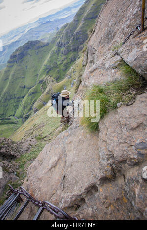 Ein Wanderer navigiert steilen Kette Leitern einer Klippe im Royal Natal National Park, Südafrika am Amphitheater Wanderung aufstehen. Stockfoto