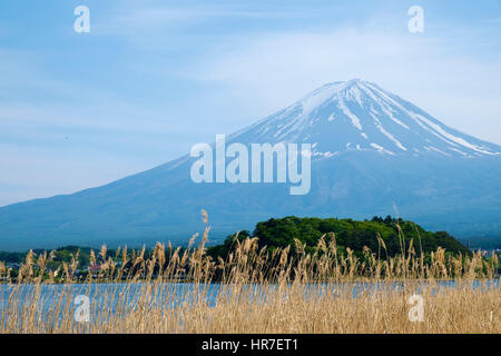 Blick auf den Mount Fuji vom Ufer des Kawaguchi-Ko (Kawaguchi-See), Yamanashi Präfektur, Japan. Stockfoto