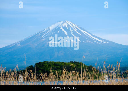 Blick auf den Mount Fuji vom Ufer des Kawaguchi-Ko (Kawaguchi-See), Yamanashi Präfektur, Japan. Stockfoto