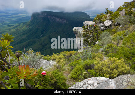 Schöne Aussicht von der Spitze des Mariepskop, der höchste Gipfel der Nördlichen Drakensberge in den Blyde River Canyon, Limpopo, Südafrika. Stockfoto