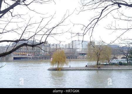 Eine grüne, gelbe Trauerweide-Baum in der Mitte der Seine, Paris Stockfoto