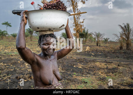 Porträt einer Frau vom Stamm Holi eine Last auf dem Kopf tragen. In Afrika sind viele Dinge noch auf den Köpfen getragen, da nicht jeder hat ein TÜV Stockfoto