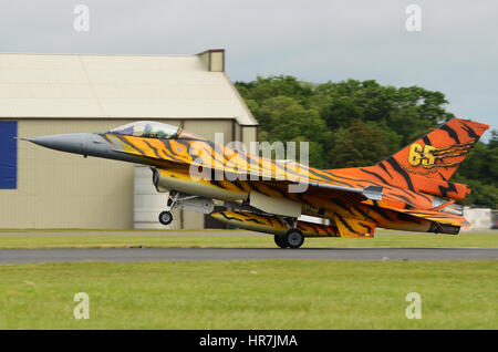 Tiger intrigiert belgische Luftwaffe allgemeine Dynamik F16 Fighting Falcon Viper bei der Royal International Air Tattoo Fairford Stockfoto