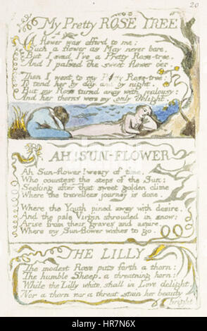 Lieder der Unschuld und von Erfahrung, kopieren A, 1795 (British Museum) Objekt 50 meine hübsche Rosenstock Stockfoto
