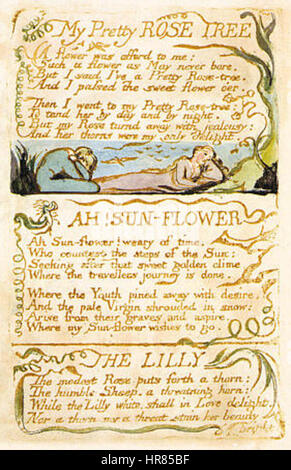 Lieder der Unschuld und von Erfahrung, kopieren C, 1789, 1794 (Library of Congress) Objekt 51 der hübschen Rosenstock Stockfoto