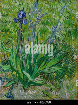 Vincent Van Gogh, Iris, 1889. National Gallery of Canada Stockfoto