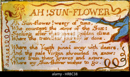 Lieder der Unschuld und von Erfahrung, kopieren AA, 1826 (The Fitzwilliam Museum) Objekt 43 My Pretty Rose Tree (beschnitten) Stockfoto