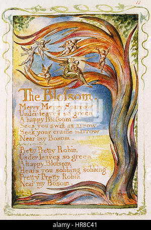 Songs of Innocence and of Experience ist eine Reihe von erleuchteten Gedichten von William Blake. „The Blossom“ aus dieser Serie zeigt die Unschuld und Reinheit der Kindheit und verbindet Poesie mit lebendigen Illustrationen, die Blakes einzigartigen künstlerischen Stil repräsentieren. Stockfoto
