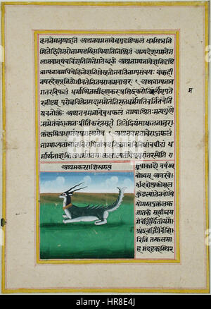 Das Sternbild Steinbock (6125110824) Stockfoto
