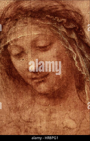 Studie über ein Frauenkopf - Leonardo da Vinci Stockfoto