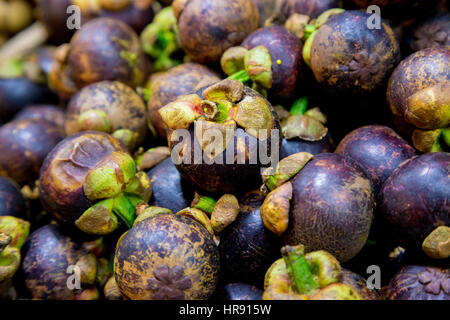 Mangostan-Frucht auf einem asiatischen Markt Stockfoto