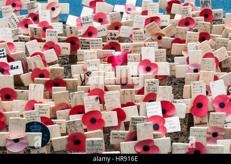 Mohn Gedenkstätten in Eldon Square, Newcastle. Stockfoto