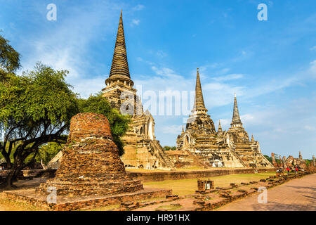 Wat Phra Si Sanphet Tempel in Ayutthaya Historical Park - Thailand Stockfoto
