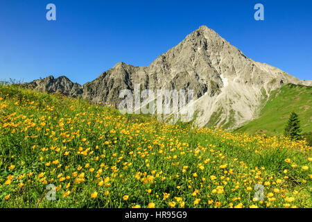 Wandern auf der Blumenwiese und steilen Berg im Frühjahr Stockfoto