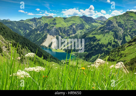 Blick von Alp auf See und Berge. Frühjahr Sommer Stockfoto