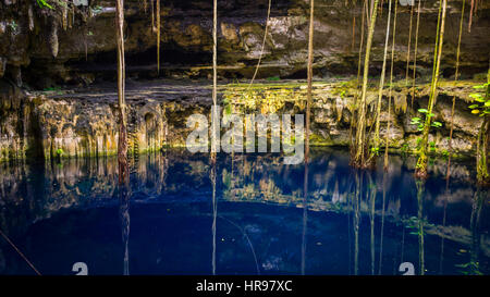 Cenote San Lorenzo in der Nähe von Valladolid, Mexiko Oxman. eine schöne Cenote mit tief türkisfarbenem Wasser Stockfoto