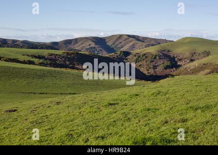 Sanfte grüne Hügel in Marin County, Kalifornien, USA. Stockfoto