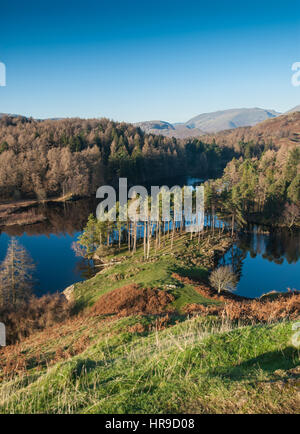 Erhöhten Blick über die Landschaft von Tarn Hows, Langdale, The Lake District.  Cumbria, England, UK. Stockfoto