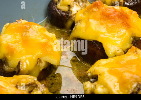 Königliche gefüllte Champignons Champignons mit Käse in der Pfanne gebacken Stockfoto