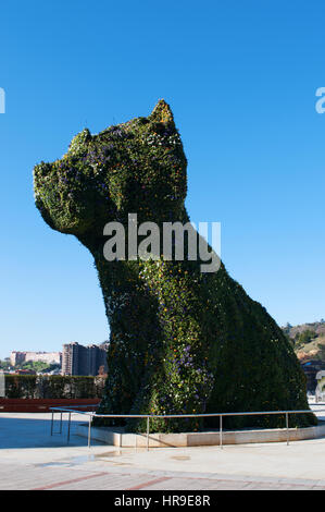 Spanien: die Blume Skulptur Puppy, gegründet 1992 von Jeff Koons am Eingang des Guggenheim Museum Bilbao und Blick auf die Skyline der Stadt Stockfoto