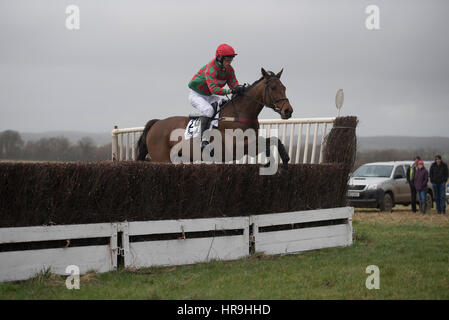 Lande Allianz Tag - Badbury Rings Punkt zu Punkt 26. Februar 2017 Stockfoto