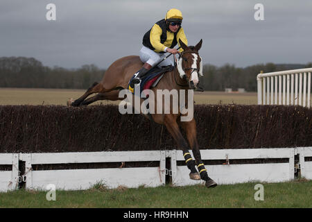 Lande Allianz Tag - Badbury Rings Punkt zu Punkt 26. Februar 2017 Stockfoto