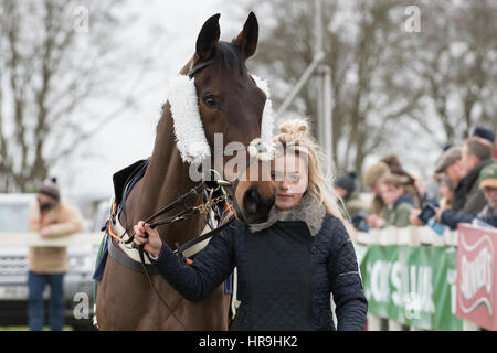 Lande Allianz Tag - Badbury Rings Punkt zu Punkt 26. Februar 2017 Stockfoto