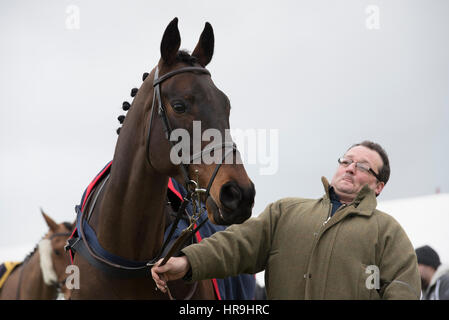 Lande Allianz Tag - Badbury Rings Punkt zu Punkt 26. Februar 2017 Stockfoto