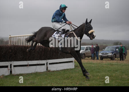 Lande Allianz Tag - Badbury Rings Punkt zu Punkt 26. Februar 2017 Stockfoto