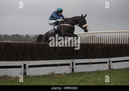 Lande Allianz Tag - Badbury Rings Punkt zu Punkt 26. Februar 2017 Stockfoto