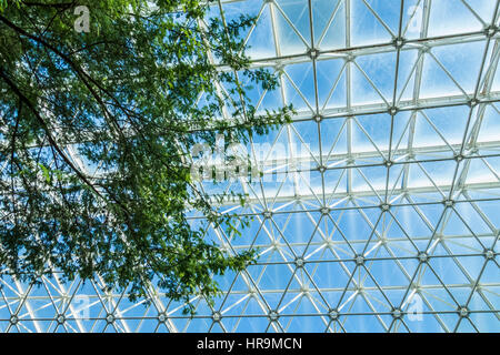 Innenansicht der Biosphäre 2 in Arizona außerhalb Tucson. Stockfoto