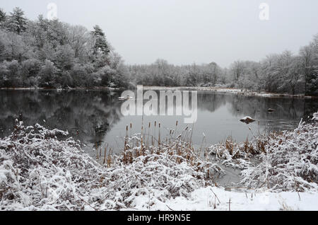 schneebedeckten Teich, umgeben von Bäumen Stockfoto