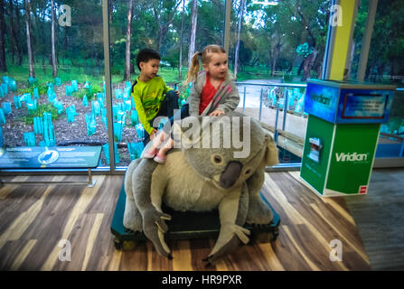 Kinder Klettern eine riesige Koala-Puppe am Koala Conservation Centre in Melbourne, Australien, mit Eukalyptus-Baumschule im Hintergrund. Stockfoto