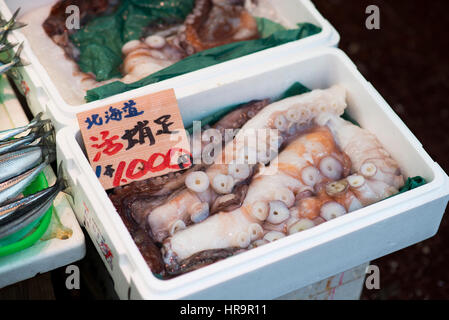 Ameya Yokocho ist ein Open-Air-Markt in Taito Ward von Tokio, Japan, direkt neben Bahnhof Ueno. Der Markt ist ungefähr 164.227 Quadratfuß ich Stockfoto