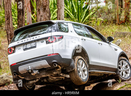 Land Rover Fahrzeuge, die im Gelände auf einer Land rover Experience Aktivität im neuen Süden von wales, Australien, fahren Stockfoto