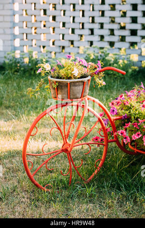 Dekorativer Vintage-Modell Fahrrades alten Korb Blumen Garten. Getönten Foto. Stockfoto