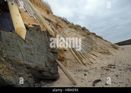 Sanddünen, die stark erodiert und Schutzzaun links unterbrochen durch Winterstürme und Gezeiten Überspannungen, Daymer Bay, Trebetherick, Cornwall, UK, März 2014. Stockfoto