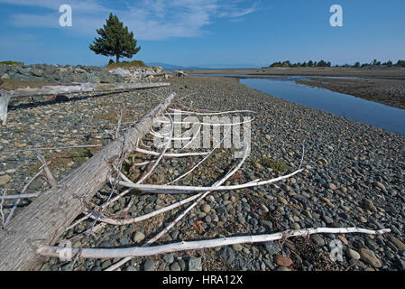 Natual Wald Schmutz wusch Downstream bei Flut bedingungen Wurf die meisten Engländer Fluss im Surfside in Parksville, BC Vancouver Island. Stockfoto