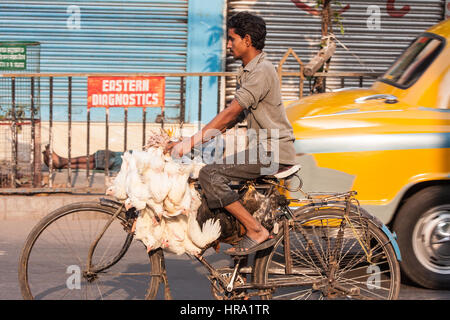 Essen, Normen, Live, frisch, Hühner, wird genommen, mit dem Fahrrad, zu Hogg, New, Markt, Calcutta, Kolkata, West, Bengal, West Bengalen, Indien, Indian, Asia, asiatisch, Stockfoto