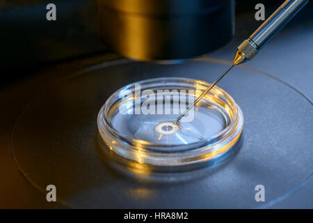 Eine Nahaufnahme von Professional In-vitro-Befruchtung Mikroskop Stockfoto