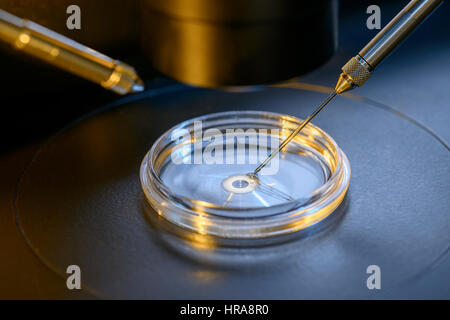 Eine professionelle In-vitro-Befruchtung Labor Mikroskop Nahaufnahme Stockfoto