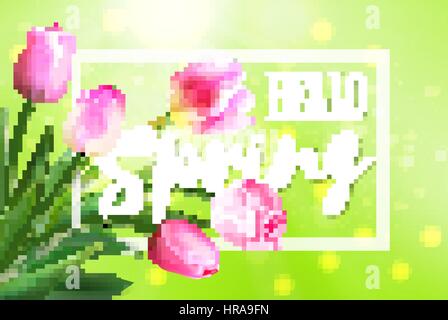 Hallo Frühlingsbanner. Grußkarten-Hintergrund. Tulpe Blumen und Schriftzug. Hallo Frühling. Stock Vektor