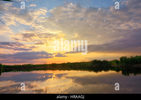 Sonnenuntergang über Donau-Delta in der Sommerzeit Stockfoto