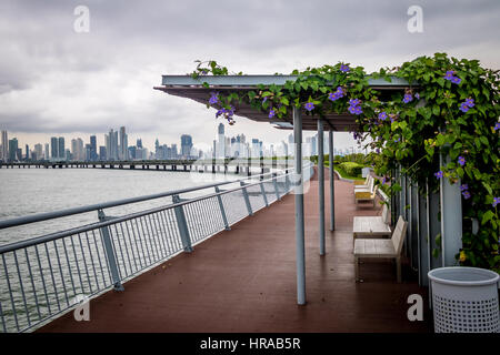 Überdachte Bänke auf Cinta Costera - Panama-Stadt, Panama Stockfoto