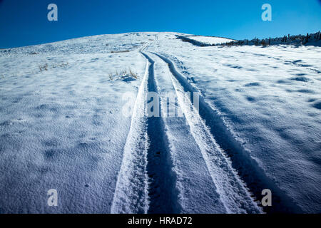 Fahrzeugspuren im Schnee auf Ackerland Stockfoto