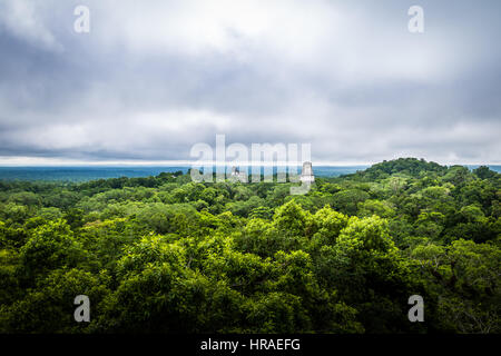 Panoramablick über Regenwald und Spitze der Maya-Tempel im Tikal National Park - Guatemala Stockfoto